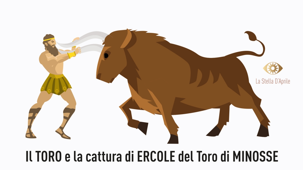 Ercole cattura il Toro di Minosse