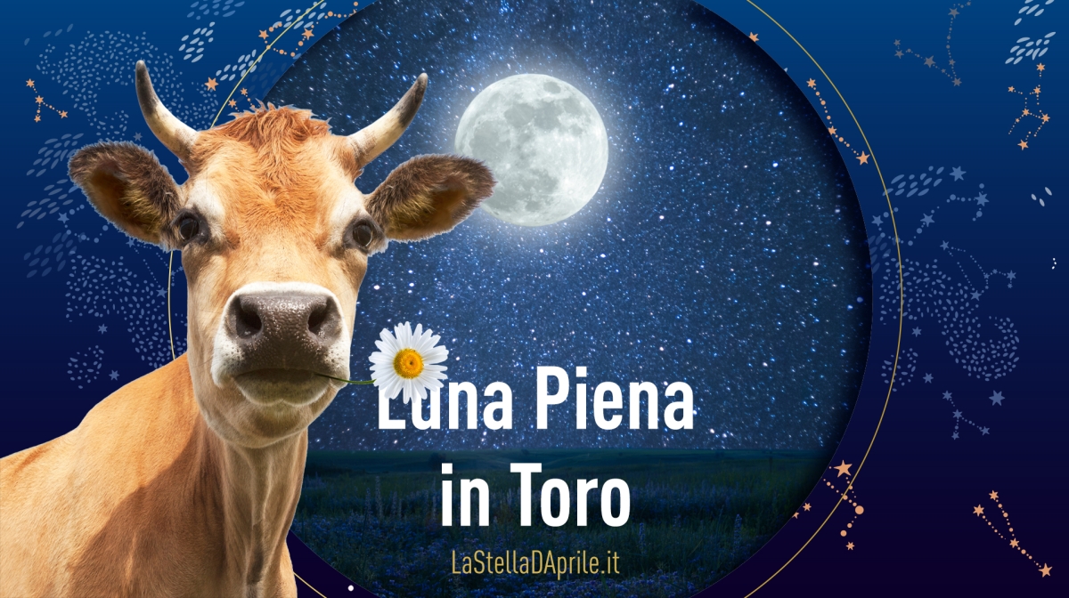 LUNA PIENA IN TORO