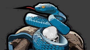 T-shirt: Il Serpente